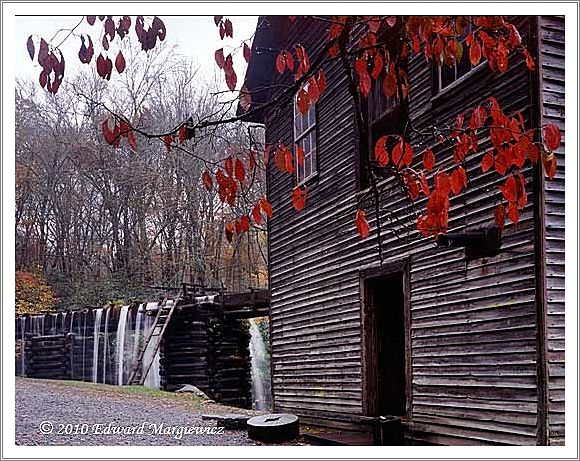 450728   Mingus Mill in an early morning rain